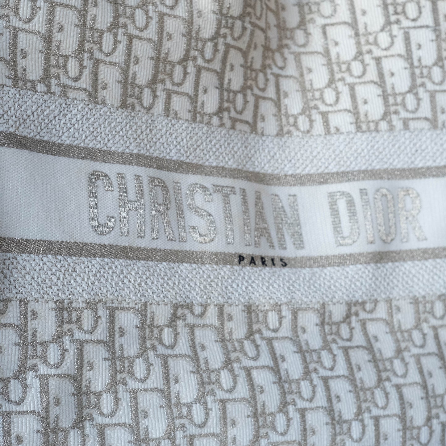 Dior tote mediano